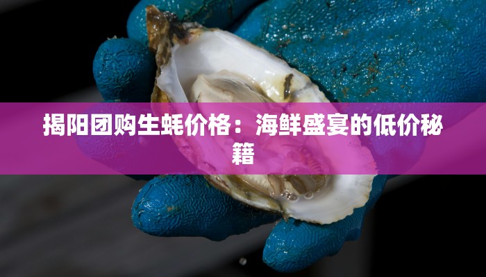 揭阳团购生蚝价格：海鲜盛宴的低价秘籍