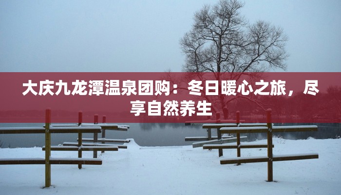 大庆九龙潭温泉团购：冬日暖心之旅，尽享自然养生