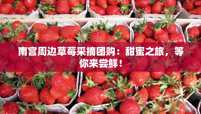 南宫周边草莓采摘团购：甜蜜之旅，等你来尝鲜！