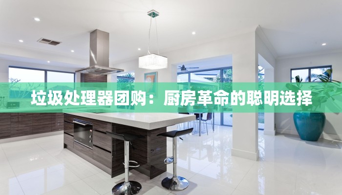 垃圾处理器团购：厨房革命的聪明选择