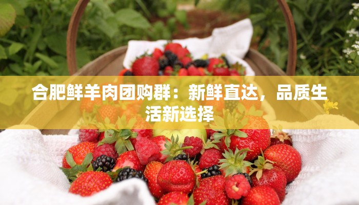 合肥鲜羊肉团购群：新鲜直达，品质生活新选择