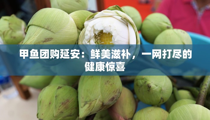 甲鱼团购延安：鲜美滋补，一网打尽的健康惊喜