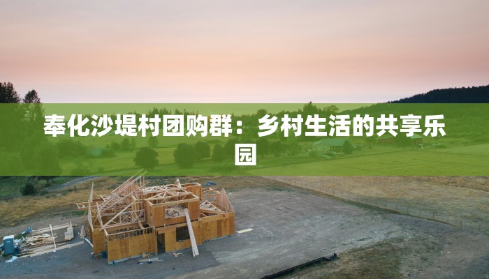 奉化沙堤村团购群：乡村生活的共享乐园