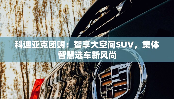 科迪亚克团购：智享大空间SUV，集体智慧选车新风尚
