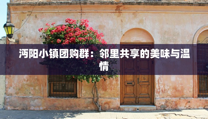 沔阳小镇团购群：邻里共享的美味与温情