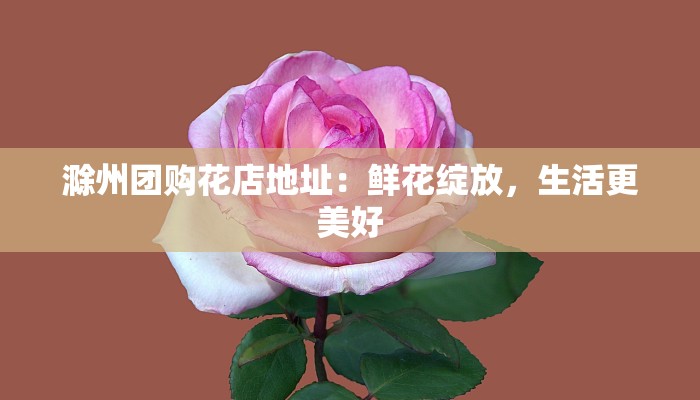 滁州团购花店地址：鲜花绽放，生活更美好