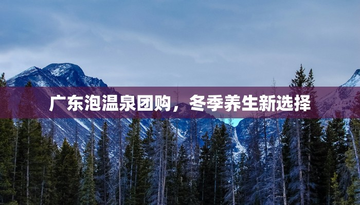 唐山团购铁板牛柳：鲜香诱惑，味蕾的极致享受