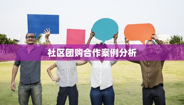 社区团购合作案例分析