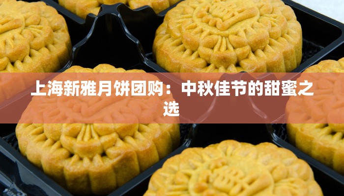 上海新雅月饼团购:中秋佳节的甜蜜之选 上海新雅月饼团购:中秋佳节的甜蜜之选