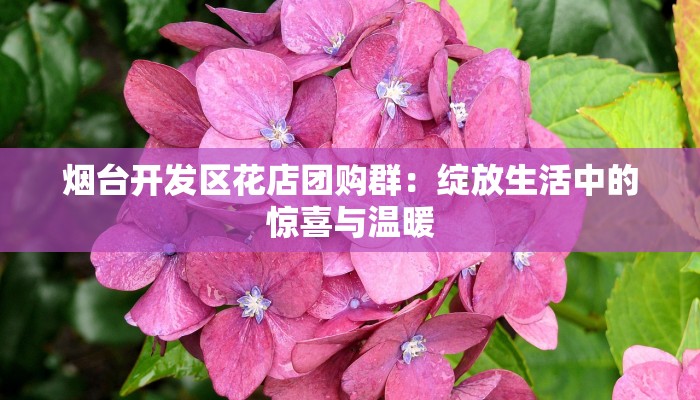 烟台开发区花店团购群:绽放生活中的惊喜与温暖 烟台开发区花店团购群:绽放生活中的惊喜与温暖