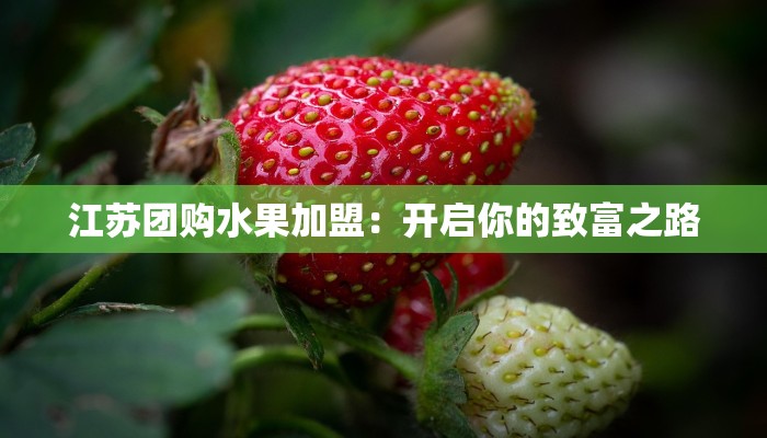 江苏团购水果加盟:开启你的致富之路 江苏团购水果加盟:开启你的致富之路