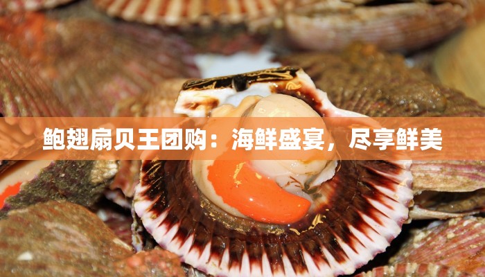 鲍翅扇贝王团购:海鲜盛宴,尽享鲜美 鲍翅扇贝王团购:海鲜盛宴,尽享鲜美