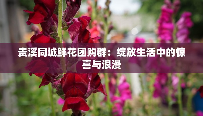 贵溪同城鲜花团购群：绽放生活中的惊喜与浪漫