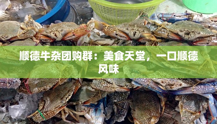 顺德牛杂团购群:美食天堂,一口顺德风味 顺德牛杂团购群:美食天堂,一口顺德风味
