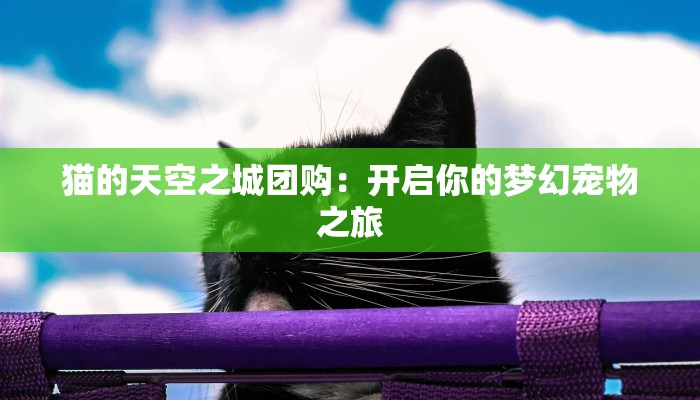 猫的天空之城团购：开启你的梦幻宠物之旅