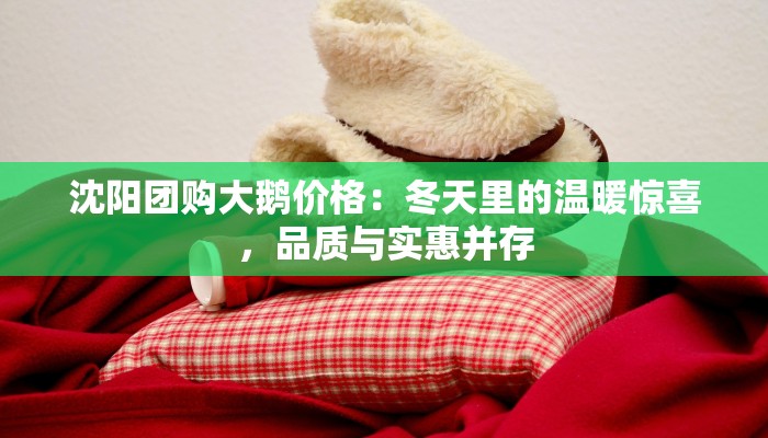 沈阳团购大鹅价格：冬天里的温暖惊喜，品质与实惠并存