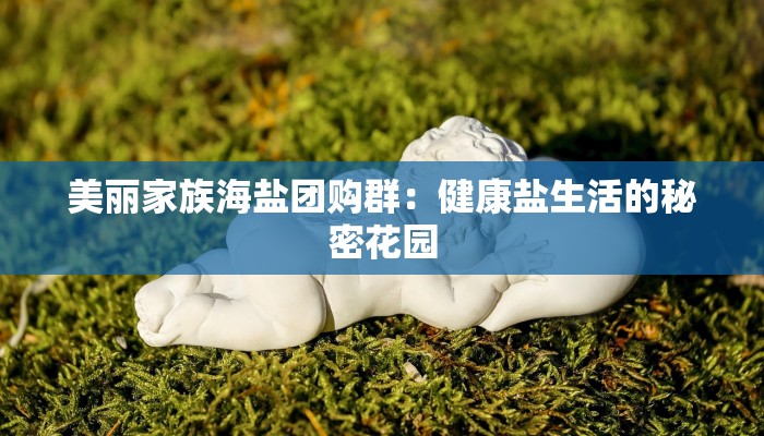 美丽家族海盐团购群：健康盐生活的秘密花园