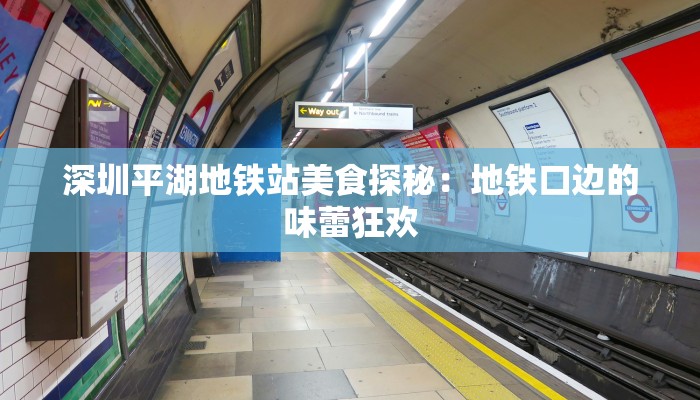 深圳平湖地铁站美食探秘：地铁口边的味蕾狂欢