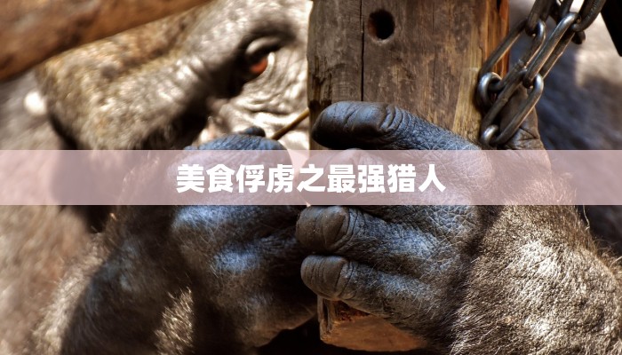 美食俘虏之最强猎人