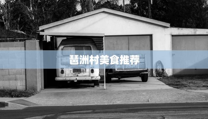 琶洲村美食推荐