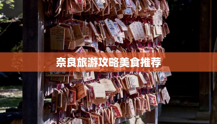 奈良旅游攻略美食推荐