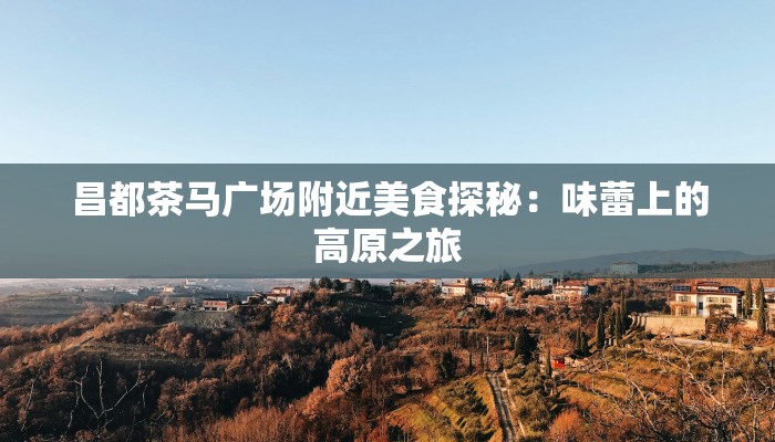 昌都茶马广场附近美食探秘：味蕾上的高原之旅