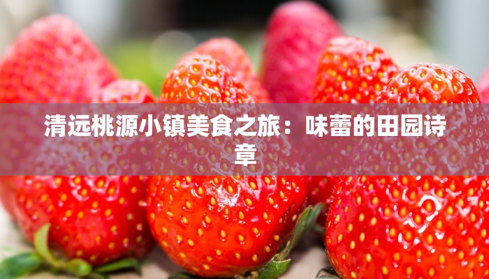 清远桃源小镇美食之旅：味蕾的田园诗章