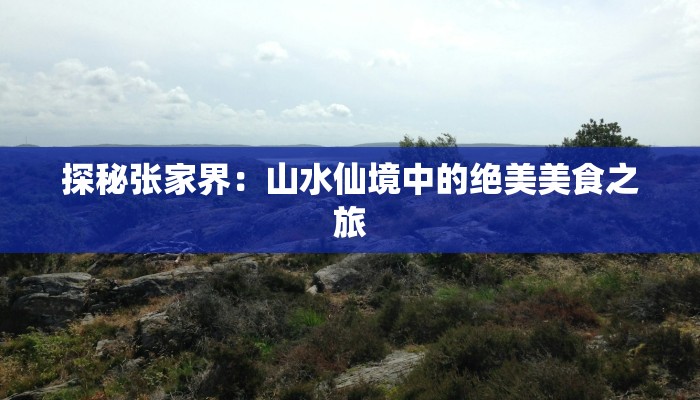 探秘张家界：山水仙境中的绝美美食之旅