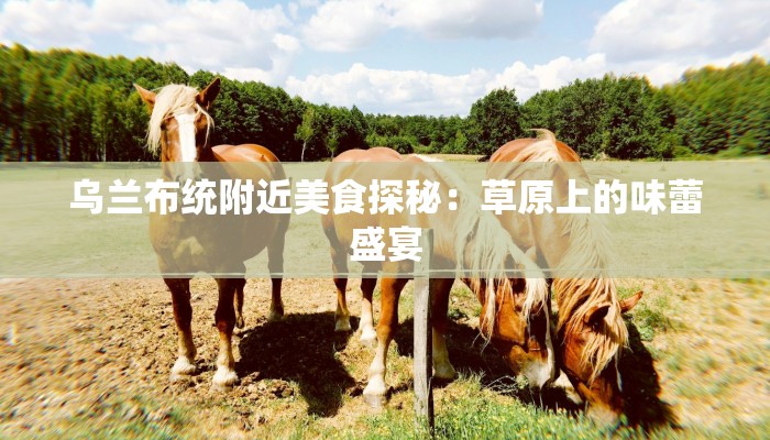 乌兰布统附近美食探秘：草原上的味蕾盛宴