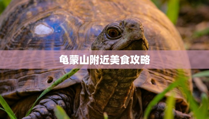 龟蒙山附近美食攻略