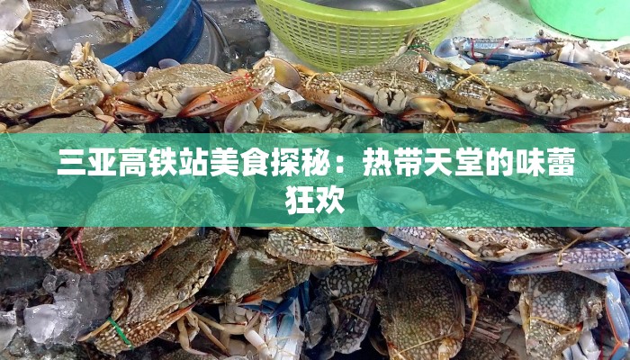 三亚高铁站美食探秘:热带天堂的味蕾狂欢 三亚高铁站美食探秘:热带天堂的味蕾狂欢