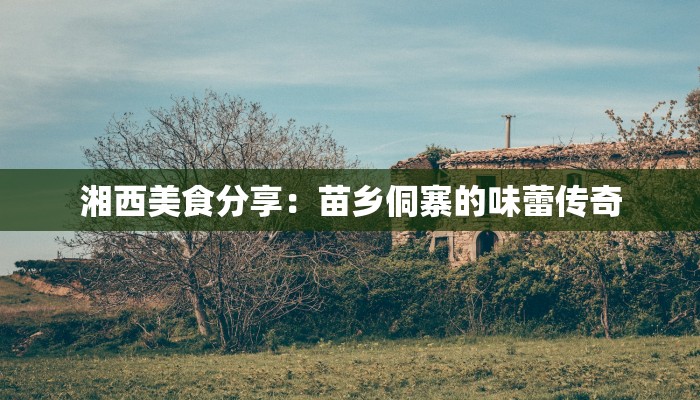 湘西美食分享:苗乡侗寨的味蕾传奇 湘西美食分享:苗乡侗寨的味蕾传奇