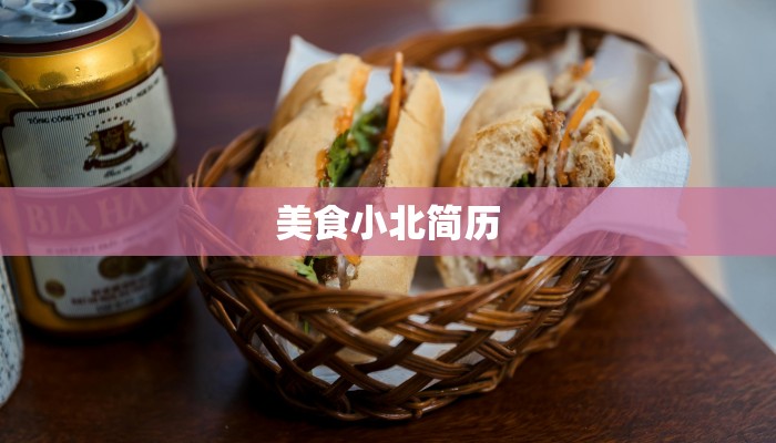 美食小北简历 美食小北简历