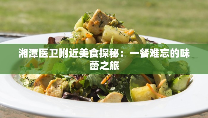 湘潭医卫附近美食探秘：一餐难忘的味蕾之旅