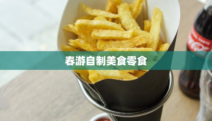 春游自制美食零食