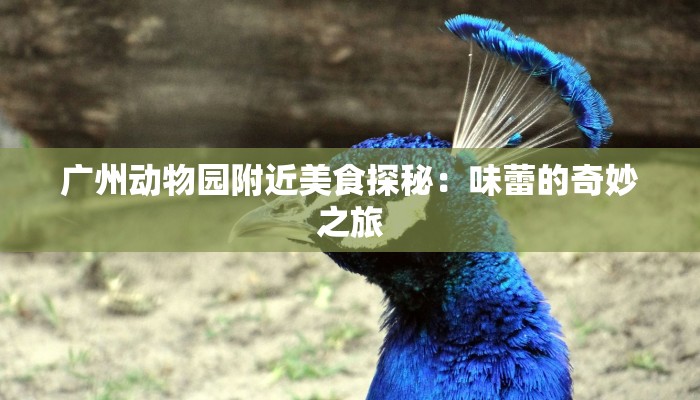 广州动物园附近美食探秘：味蕾的奇妙之旅