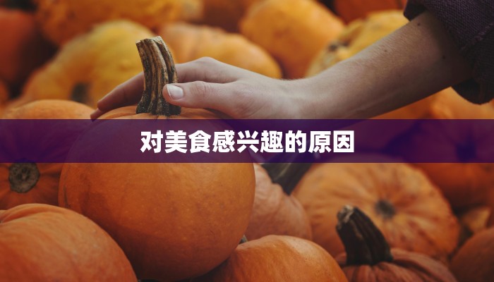 对美食感兴趣的原因