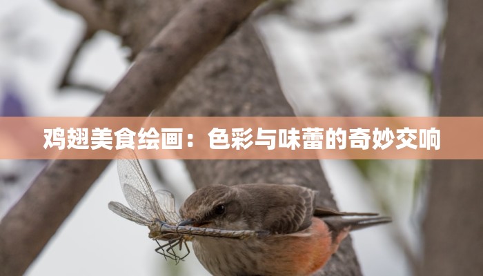 鸡翅美食绘画：色彩与味蕾的奇妙交响