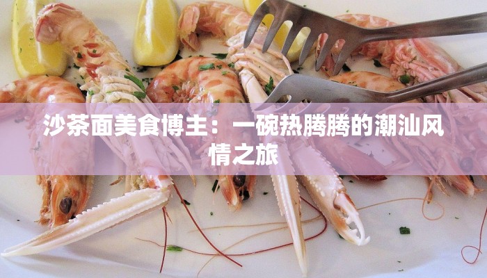 沙茶面美食博主：一碗热腾腾的潮汕风情之旅