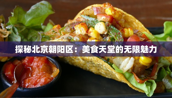 探秘北京朝阳区:美食天堂的无限魅力 探秘北京朝阳区:美食天堂的无限魅力