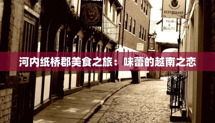 河内纸桥郡美食之旅：味蕾的越南之恋