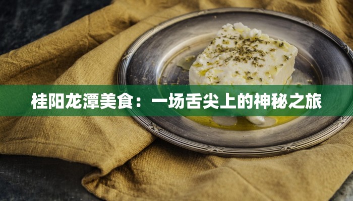 桂阳龙潭美食：一场舌尖上的神秘之旅