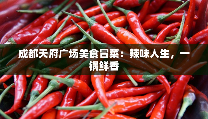 成都天府广场美食冒菜：辣味人生，一锅鲜香