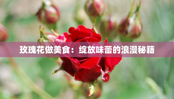 玫瑰花做美食：绽放味蕾的浪漫秘籍