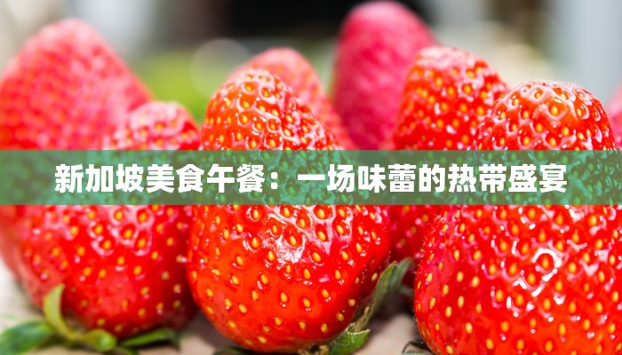 新加坡美食午餐：一场味蕾的热带盛宴