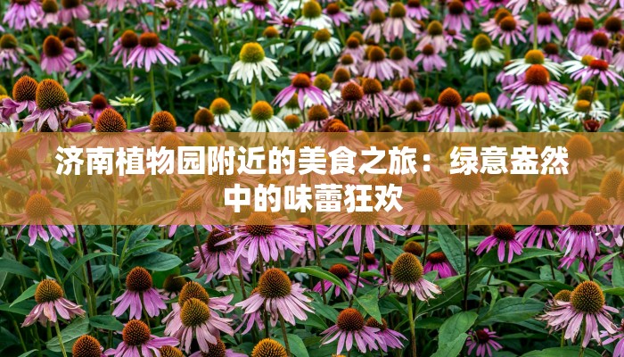 济南植物园附近的美食之旅：绿意盎然中的味蕾狂欢