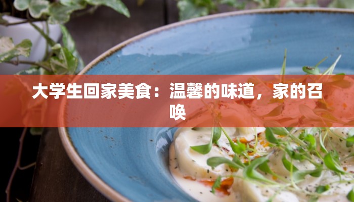 大学生回家美食：温馨的味道，家的召唤