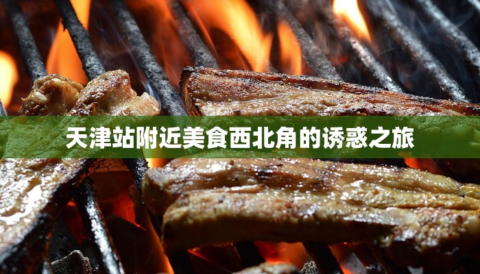 天津站附近美食西北角的诱惑之旅