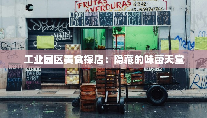 工业园区美食探店：隐藏的味蕾天堂