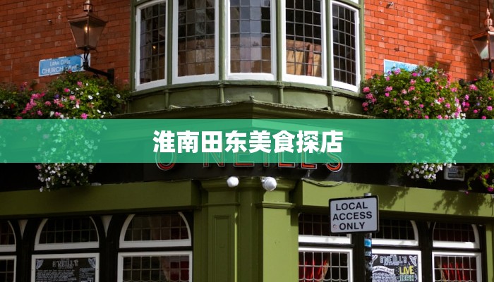 淮南田东美食探店